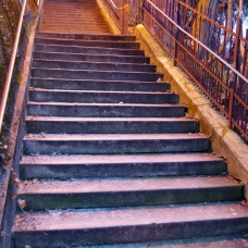 IMGP5902