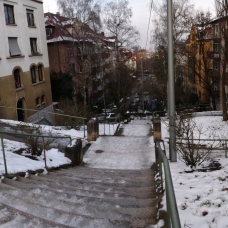 Stitched Panorama